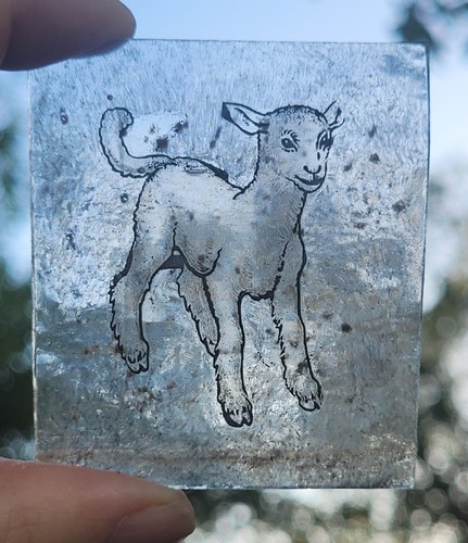 Vetro colorato agnello vecchio - vetro,