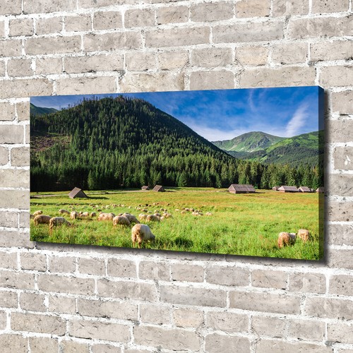 Tulup dipinto tela pittura - dipinto, su