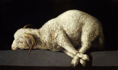 Dipinto olio francisco - , de