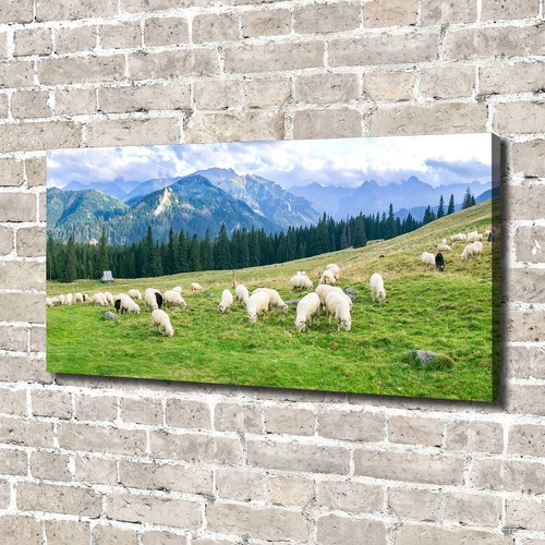 Tulup dipinto tela pittura - dipinto, su