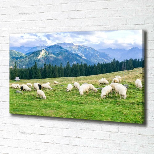 Tulup dipinto tela pittura - dipinto, su