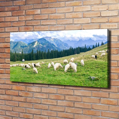 Tulup dipinto tela - su, pittura