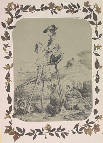 Pastore landais tessitura - landais,