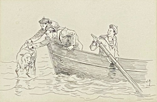 Salvataggio marino del montone - marino,