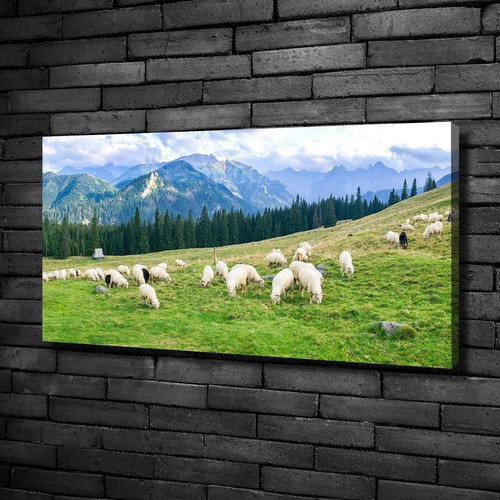Tulup dipinto tela pittura - dipinto,